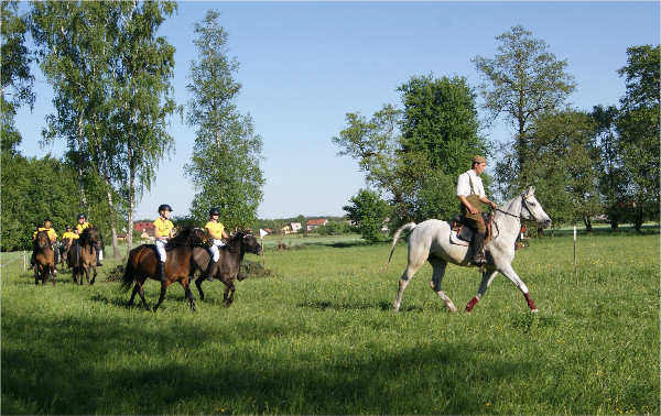 Bieg Smolicza 2018 – ujęcie 14
