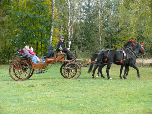 Hubertus Ziemiański na Podzamczu 2016 – ujęcie 16