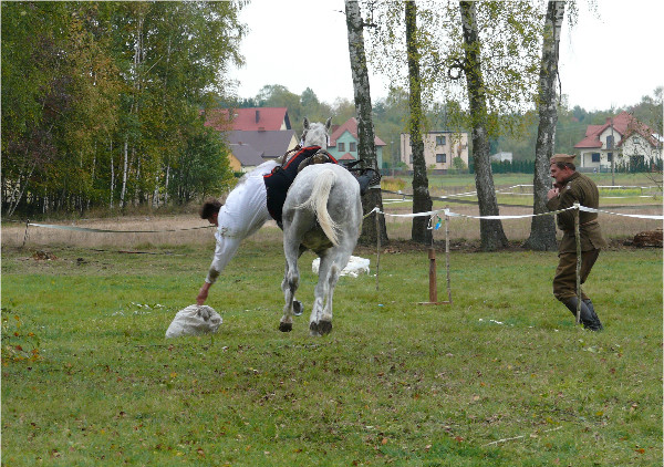 Hubertus Ziemiański na Podzamczu 2016 – ujęcie 26