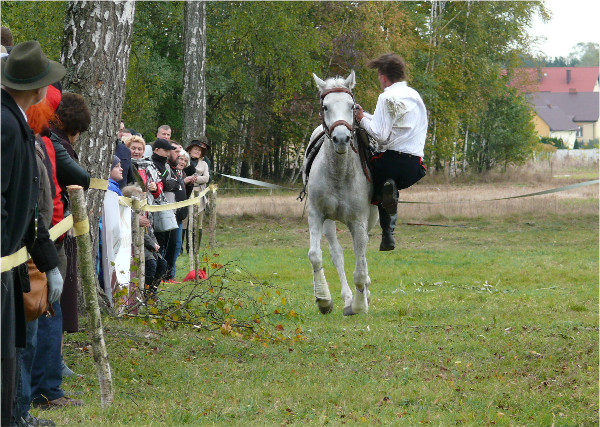 Hubertus Ziemiański na Podzamczu 2016 – ujęcie 28