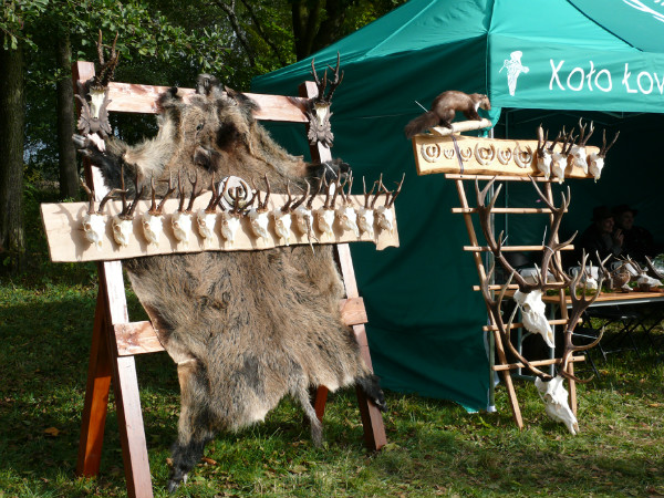 Hubertus Ziemiański na Podzamczu 2016 – ujęcie 39