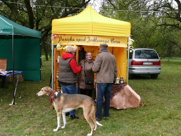 Hubertus Ziemiański na Podzamczu 2016 – ujęcie 46