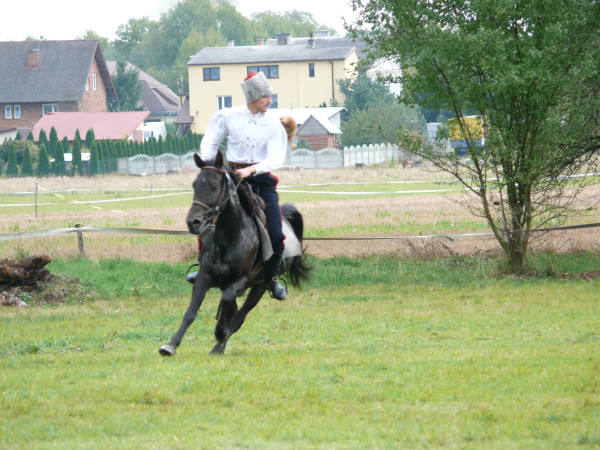 Hubertus Ziemiański na Podzamczu 2016 – ujęcie 7