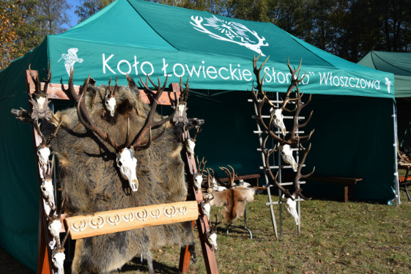 Hubertus Ziemiański na Podzamczu 2018 – ujęcie 29