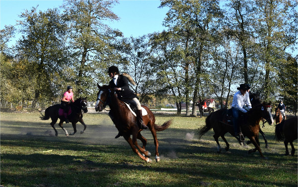 Hubertus Ziemiański na Podzamczu 2018 – ujęcie 37